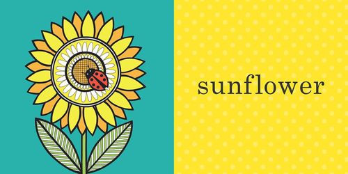 купить Jane Foster's Summertime в Кишинёве 