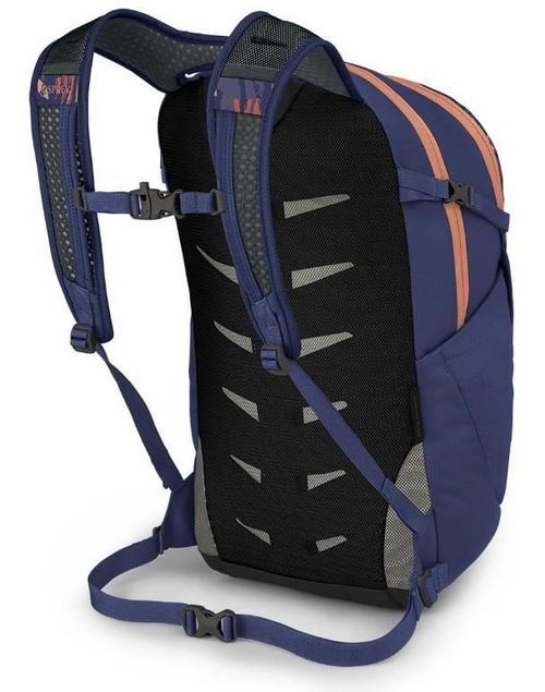 cumpără Rucsac pentru oraș Osprey Daylite Plus 20 wild blossom print/alkalin în Chișinău 