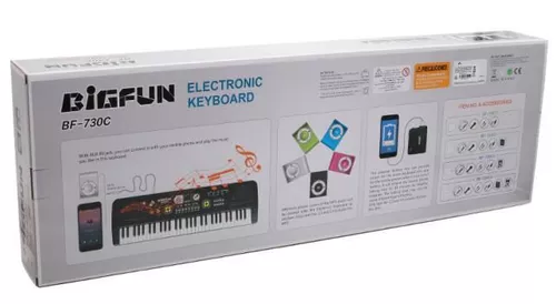 cumpără Jucărie muzicală New World BF-730C4 Pian electronic BF 61 clape (microfon, USB, MP3), cod 31024 în Chișinău 