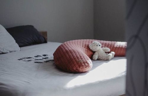 cumpără Pernă pentru gravide și mame care alăptează Beaba B0508176 Big Flopsy 170 cm Fleur de Coton Terracotta în Chișinău 