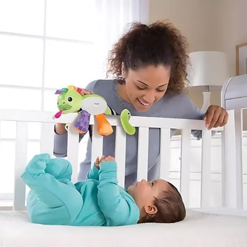 cumpără Jucărie muzicală Tomy T27169 Cameleonul Rosie, Lamaze, Tomy în Chișinău 