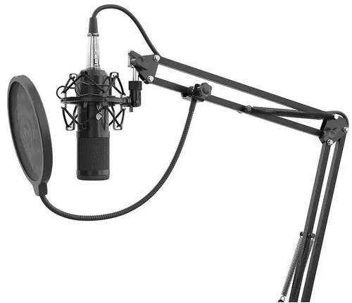 купить Микрофон Genesis NGM-1695/Radium 300 Studio в Кишинёве 
