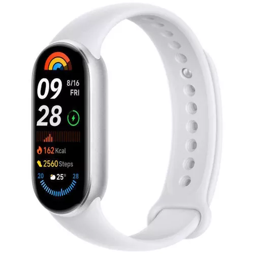 cumpără Fitness-tracker Xiaomi Smart Band 9 Silver în Chișinău 