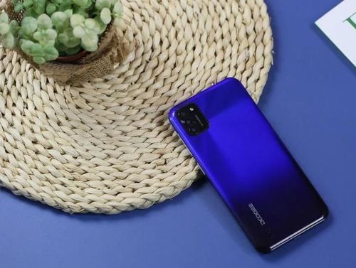 купить Смартфон Doogee X93 Blue в Кишинёве 