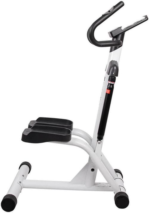 cumpără Stepper inSPORTline 9811 Stepper Rote (130kg) (20162) în Chișinău 
