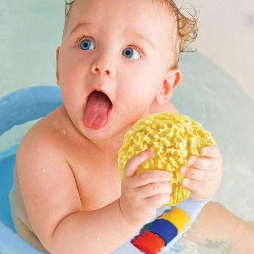 cumpără Accesoriu pentru baie BabyJem 163 Burete natural pentru bebelusi Sea Sponge în Chișinău 