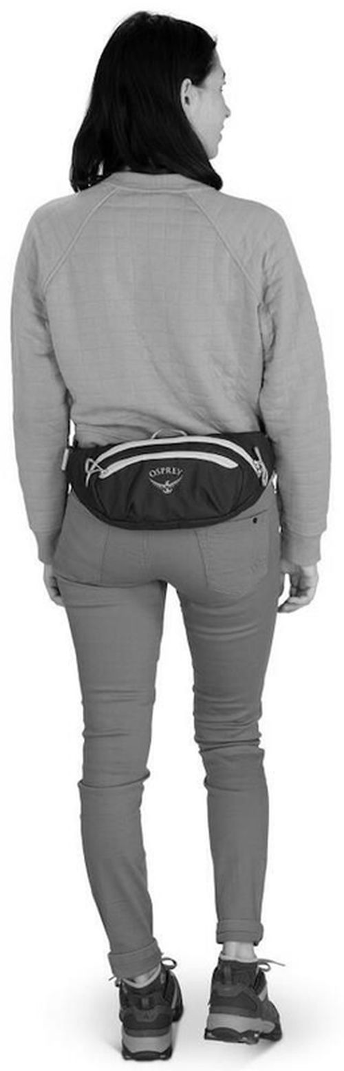 купить Поясная сумка Osprey Daylite Waist soundwave grey/lt Br (10054041OSP) в Кишинёве 