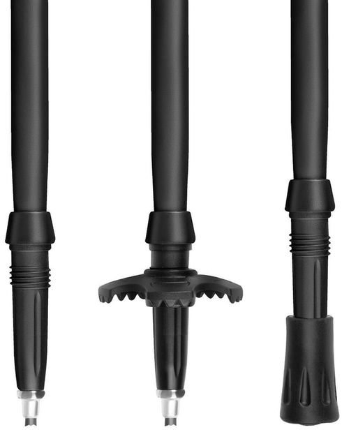 cumpără Bețe pentru trekking Spokey 944827 Trail Black, для скандинавской ходьбы în Chișinău 