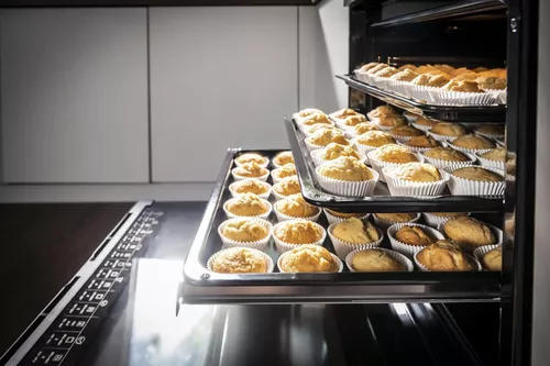 купить Встраиваемый духовой шкаф электрический Hansa BOES694003 в Кишинёве 