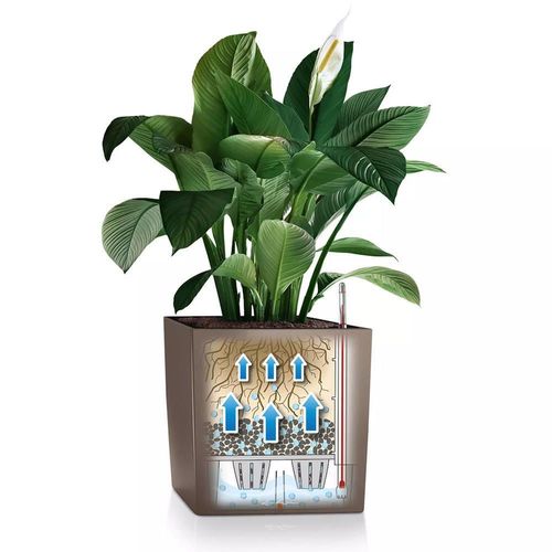 купить Цветочный горшок Lechuza Cube Premium 30, White в Кишинёве 