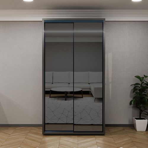 купить Шкаф Bayro Parma Graphite 1200x2250x600 антрацит, купе в Кишинёве 