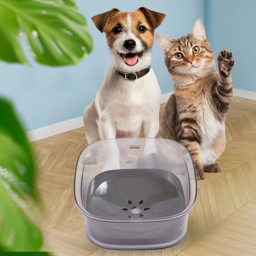 cumpără Bol pentru câini și pisici Jumi CD-321182 fara stropire, Transparent în Chișinău 