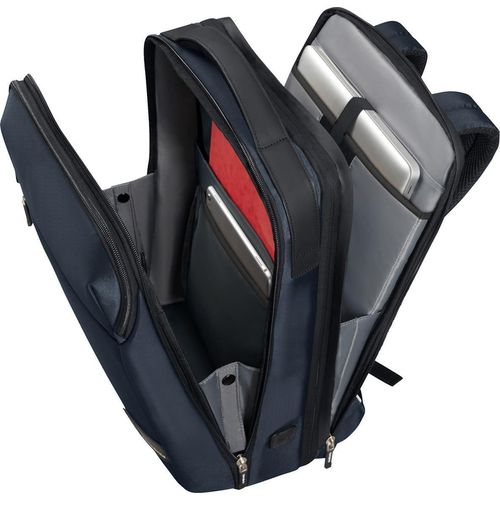 купить Рюкзак для ноутбука Samsonite Litepoint (134550/1090) в Кишинёве 