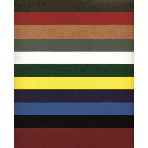 купить Бумага офисная Argo AR432091 Carton Delta A3, 250g/m2, 100 foi, bordo в Кишинёве 