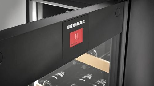 купить Холодильник винный Liebherr WFbli 5041 в Кишинёве 