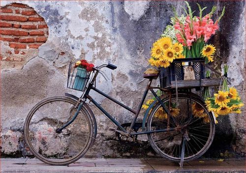 купить Головоломка Educa 17988 500 Bicycle With Flowers в Кишинёве 