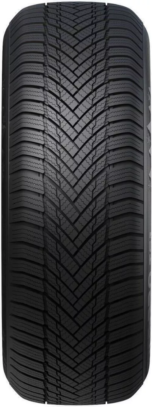 cumpără Anvelopă Tourador 195/55 R 15 Winter Pro TS1 85H în Chișinău 