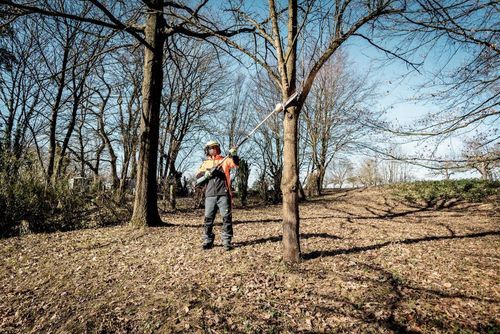 купить Кусторез Metabo 601725850 MA 36-18 LTX BL Q в Кишинёве 