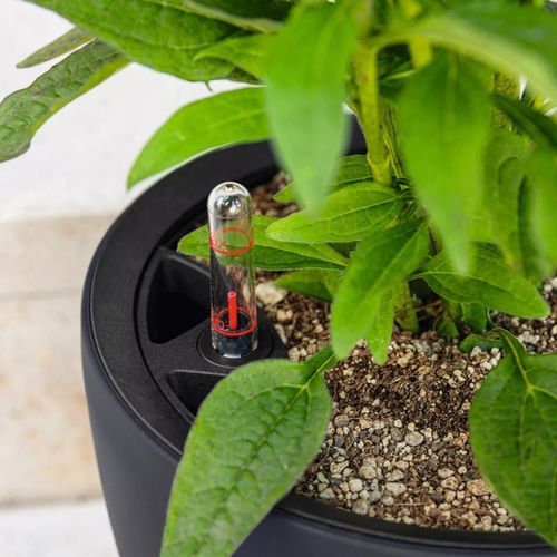 купить Цветочный горшок Lechuza Classico Color 43 LS, White в Кишинёве 