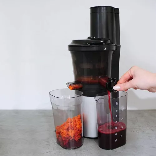 купить Соковыжималка шнековая Caso SJW300 в Кишинёве 