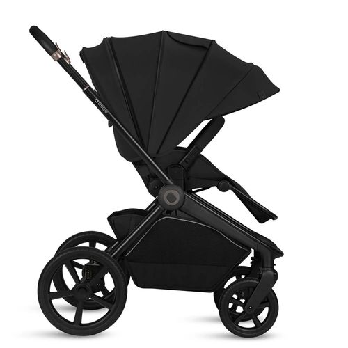 купить Детская коляска Lionelo Carucior 2in1 Freya Black Onyx в Кишинёве 