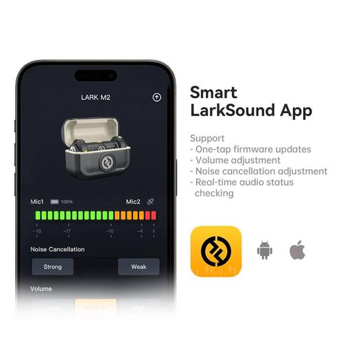 купить Микрофон Hollyland Lark M2 with USB-C Plug / (Duo,Shine Charcoal) в Кишинёве 
