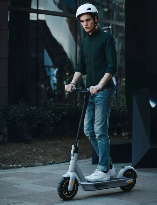 купить Самокат Segway Ninebot G30LP US в Кишинёве 