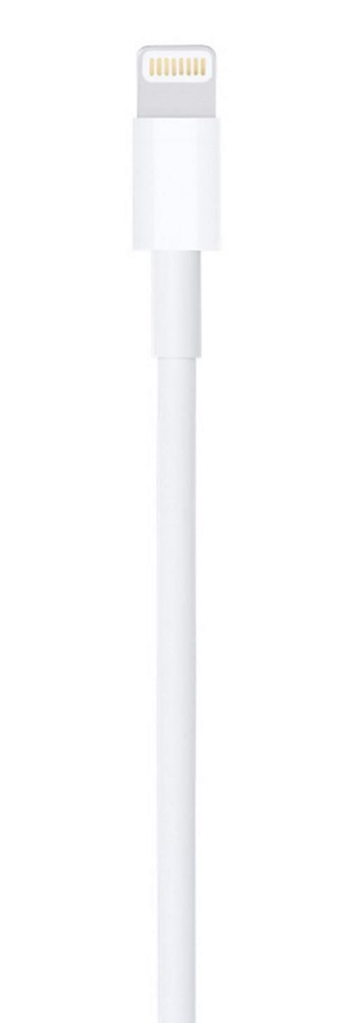 cumpără Cablu telefon mobil Apple Lightning to USB Cable 0.5 m ME291 în Chișinău 