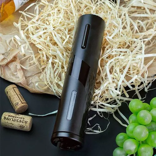 cumpără Tirbușon Casa Masa KB1-601901A Expert electric în Chișinău 