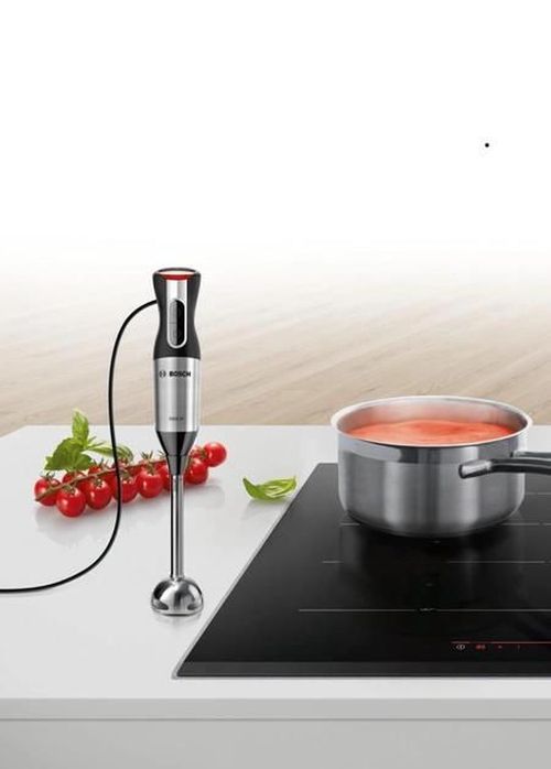 купить Блендер погружной Bosch MS64M6170 в Кишинёве 