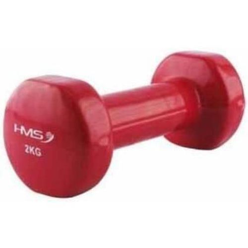 купить Гантель HMS 17023 Abisal Vinyl Dipping Dumbbell 2kg в Кишинёве 
