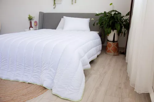 cumpără Textile de casă Relaxe Home Комплект Одеяло + 2 подушки Aloe Vera 200 x 220 см în Chișinău 