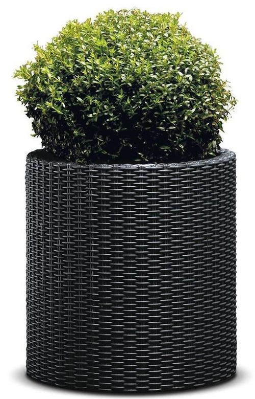 купить Садовая фигура Keter Cylinder Planter M Anthracite (229123) в Кишинёве 