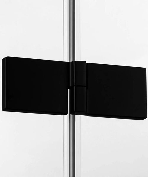 cumpără Cabină de duș New Trendy Avexa Black Rectangular L 100x80x200 Hinged EXK-1586 în Chișinău 