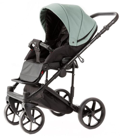 купить Детская коляска Adamex LOCCO 100% ECO SA-20 в Кишинёве 