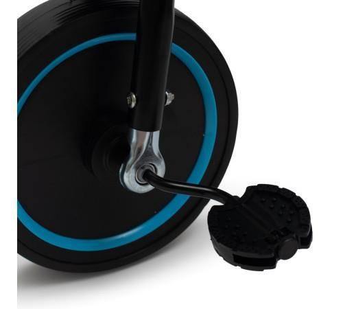 cumpără Bicicletă-cărucior Baby Mix 56313 Peony EVA Blue în Chișinău 