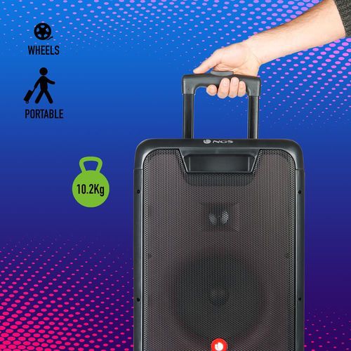 cumpără Giga sistem audio NGS WILD RAVE2 300W în Chișinău 