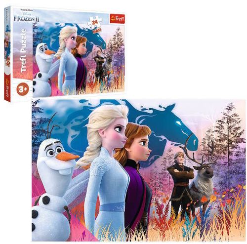 cumpără Puzzle Trefl 14325 Frozen 2, 24elem în Chișinău 