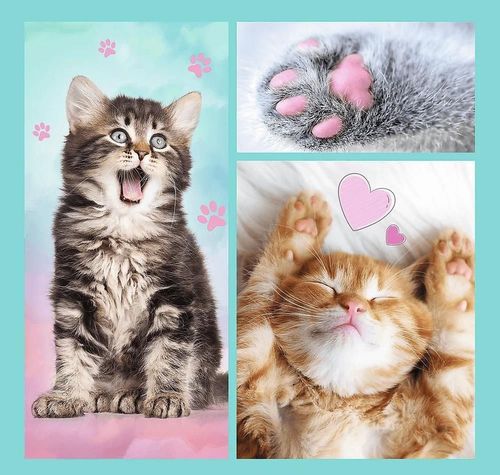 купить Головоломка Trefl 34862 Puzzles 3in1 Sweet animals в Кишинёве 