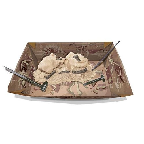 cumpără Set de creație 4M 00-03237 Brachiosaurus Skeleton în Chișinău 