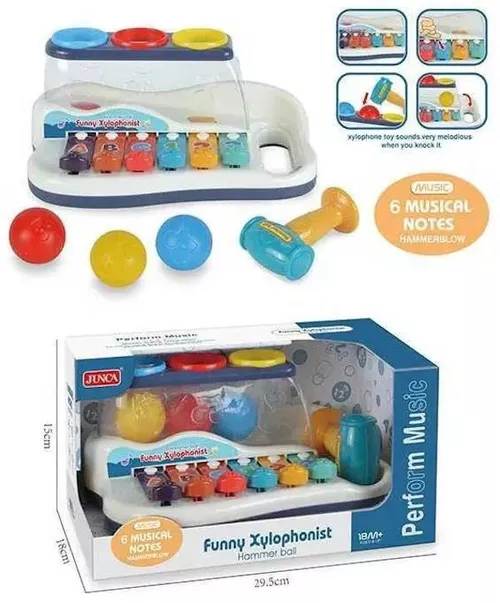 купить Музыкальная игрушка Hola Toys 46444 ксилофон в Кишинёве 