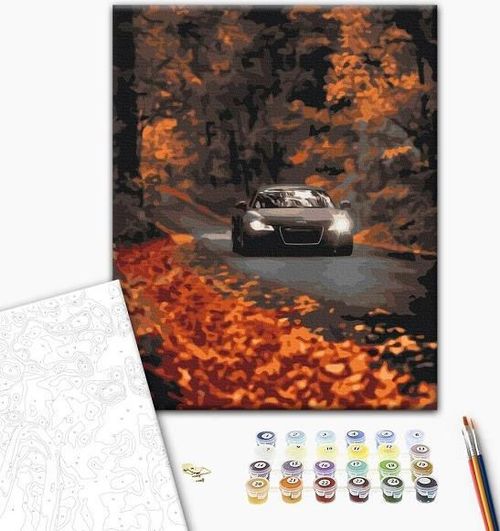 купить Картина по номерам BrushMe BS53291 40x50 cm (în cutie) Drum de toamnă в Кишинёве 