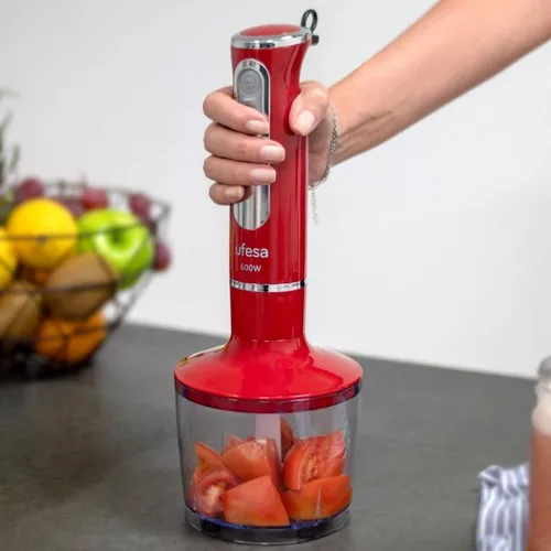 cumpără Blender de mână Ufesa BP3443 în Chișinău 