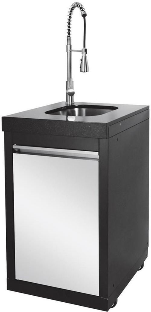 купить Мангал ArtFlame BW411-SI pe gaz din otel inoxidabil в Кишинёве 