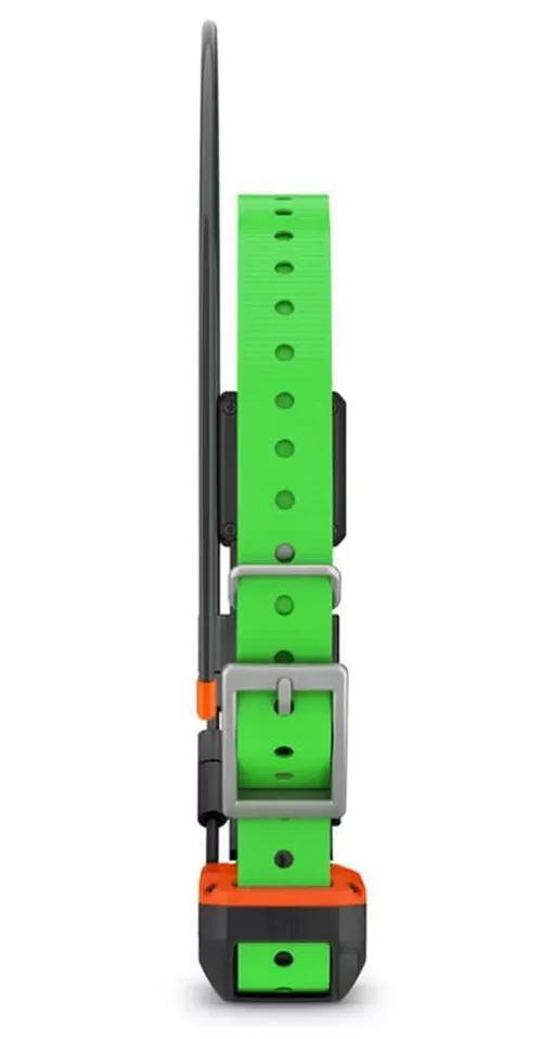 cumpără GPS tracker pentru câini Garmin Alpha® TT 25 Collar (010-02447-21) în Chișinău 