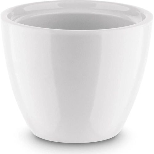 cumpără Veselă Tadar Сахарница 200ml White în Chișinău 