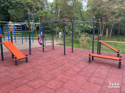 купить Уличный тренажер PlayPark WORKOUT C-029 в Кишинёве 