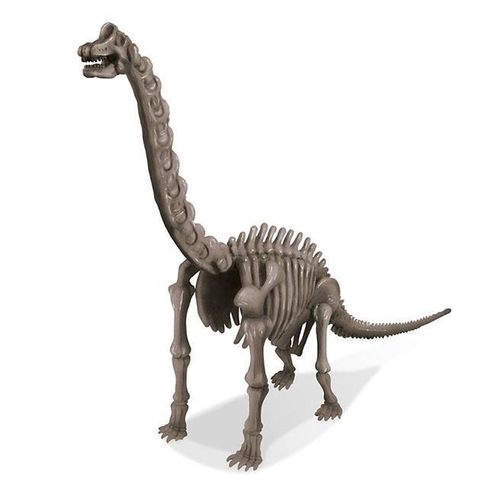cumpără Set de creație 4M 00-03237 Brachiosaurus Skeleton în Chișinău 