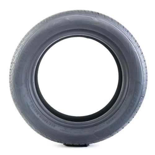 купить Шина Fronway 225/55 R19 99V FRONWING A/S (2EFW871F) в Кишинёве 