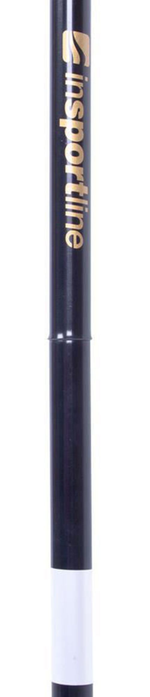купить Треккинговые палки inSPORTline 4241 Baston treking 13154 (1 buc) Luzy cu diod LED 89-99 cm в Кишинёве 